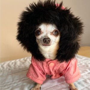 ✨ Pink Faux-Fur Trimmed Winter Dog Parka ✨